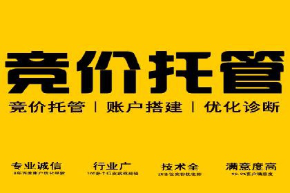 谷歌竞价广告如何助力企业快速提升品牌知名度